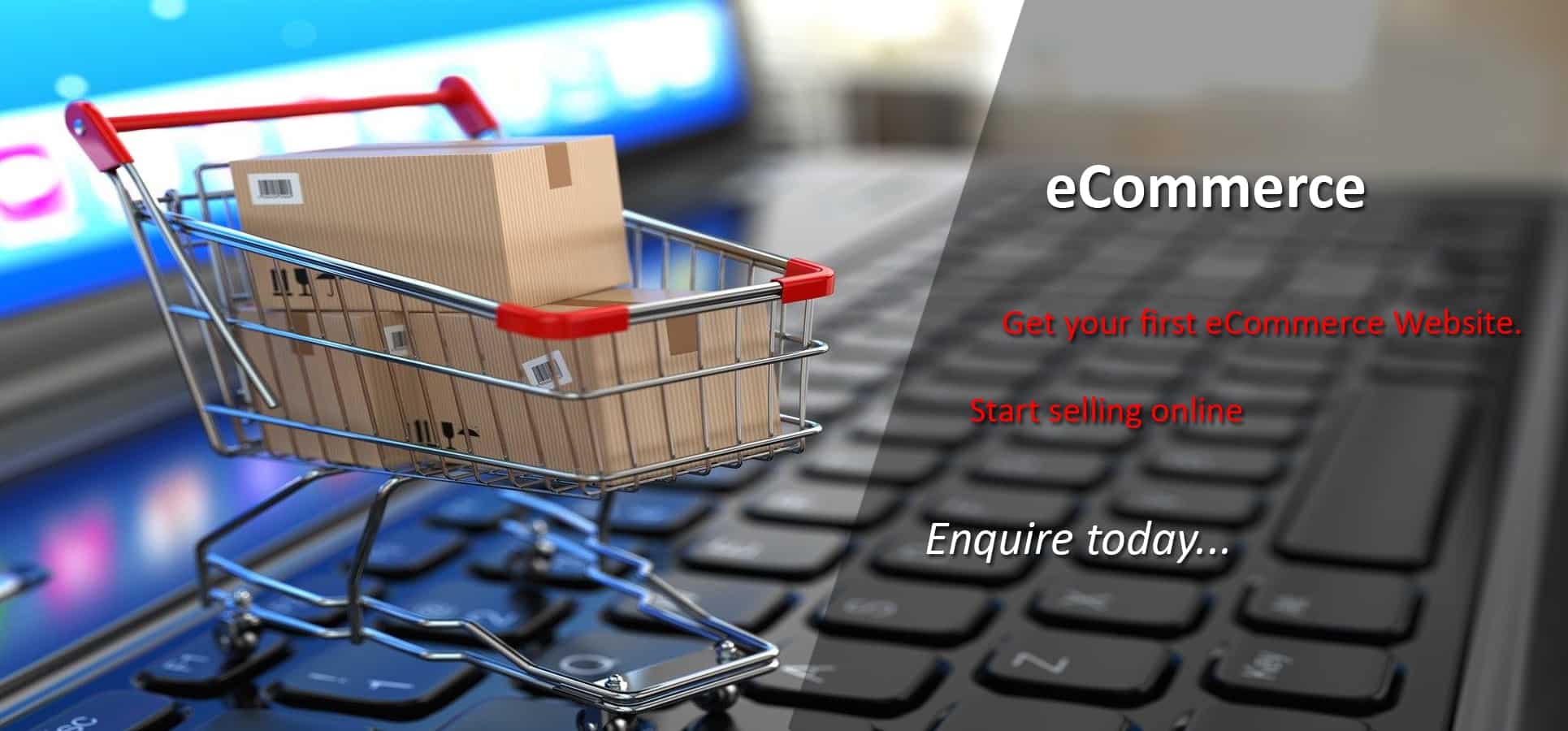 EcoCash and Mobile Money Payments for Your Website